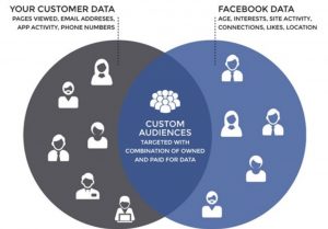 CustomerAudience-300x209